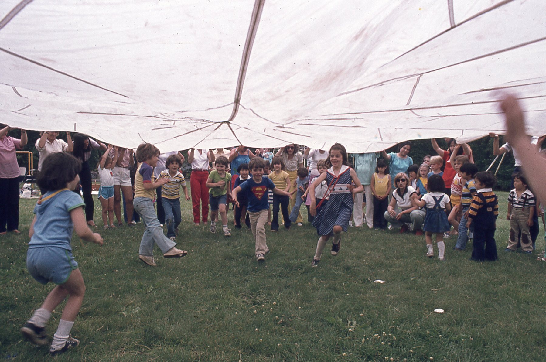 img443.jpg