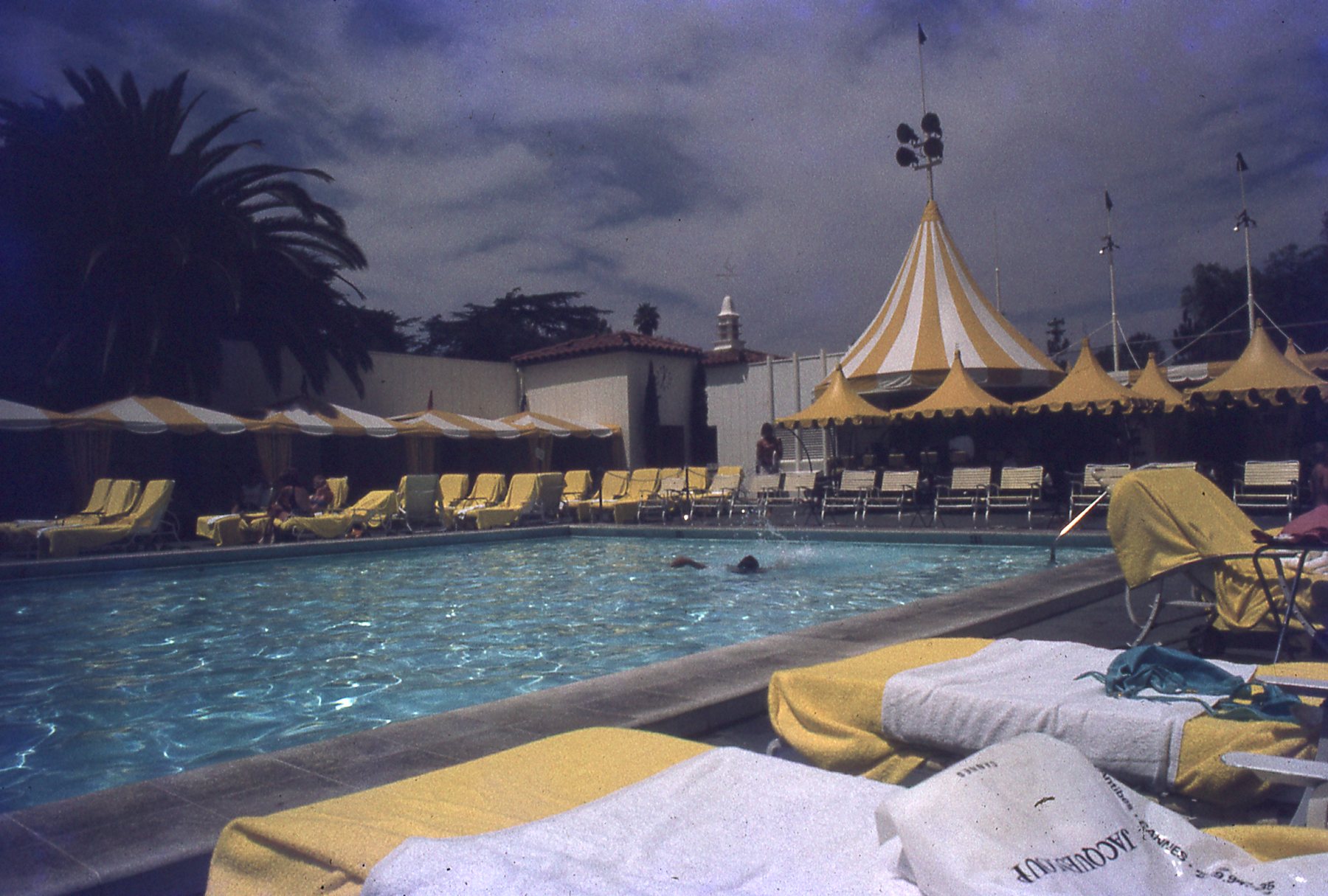 img233.jpg