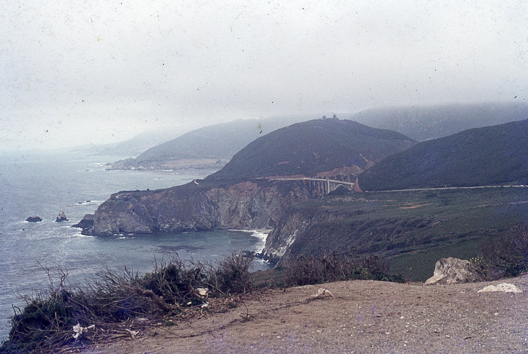 img239.jpg