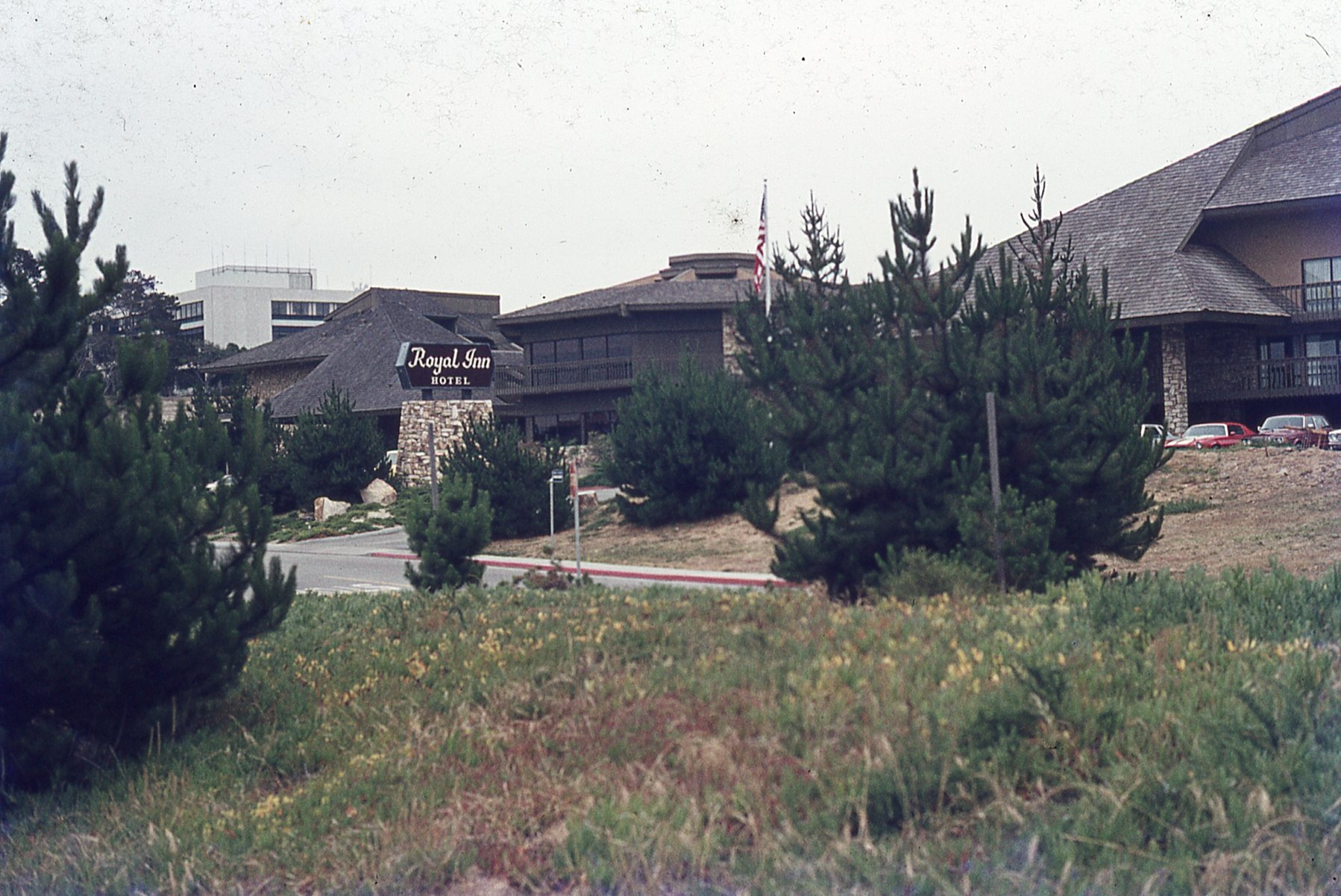 img241.jpg