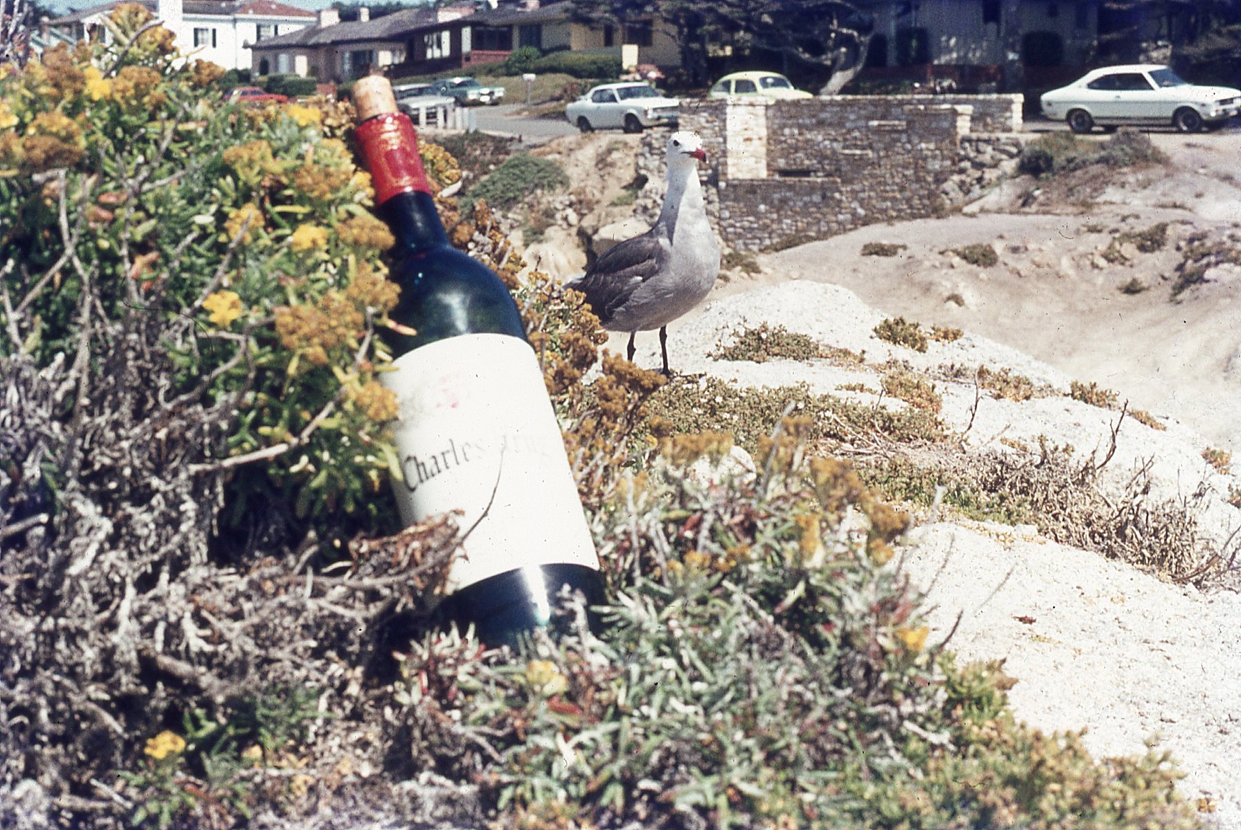 img244.jpg