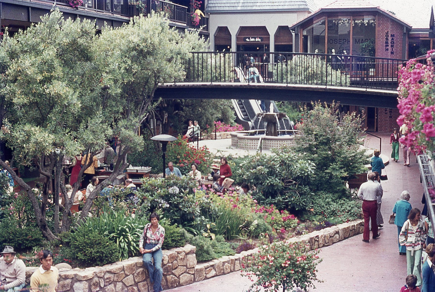 img248.jpg