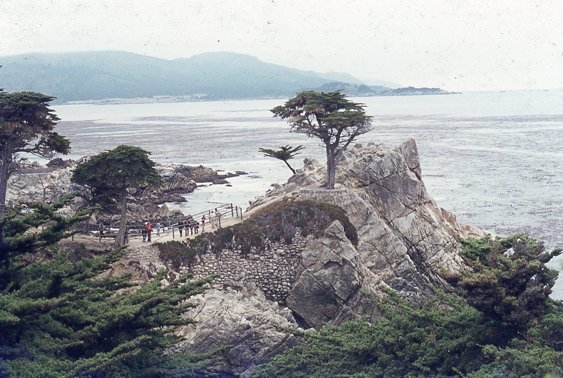 img249.jpg