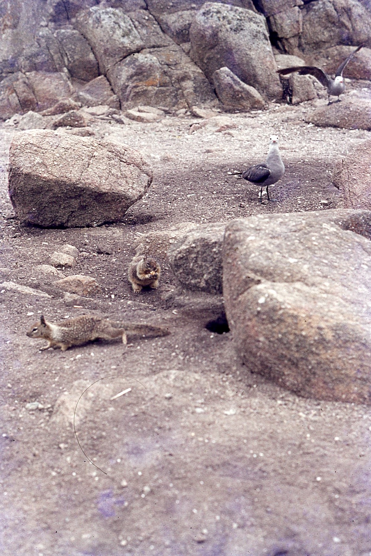 img254.jpg