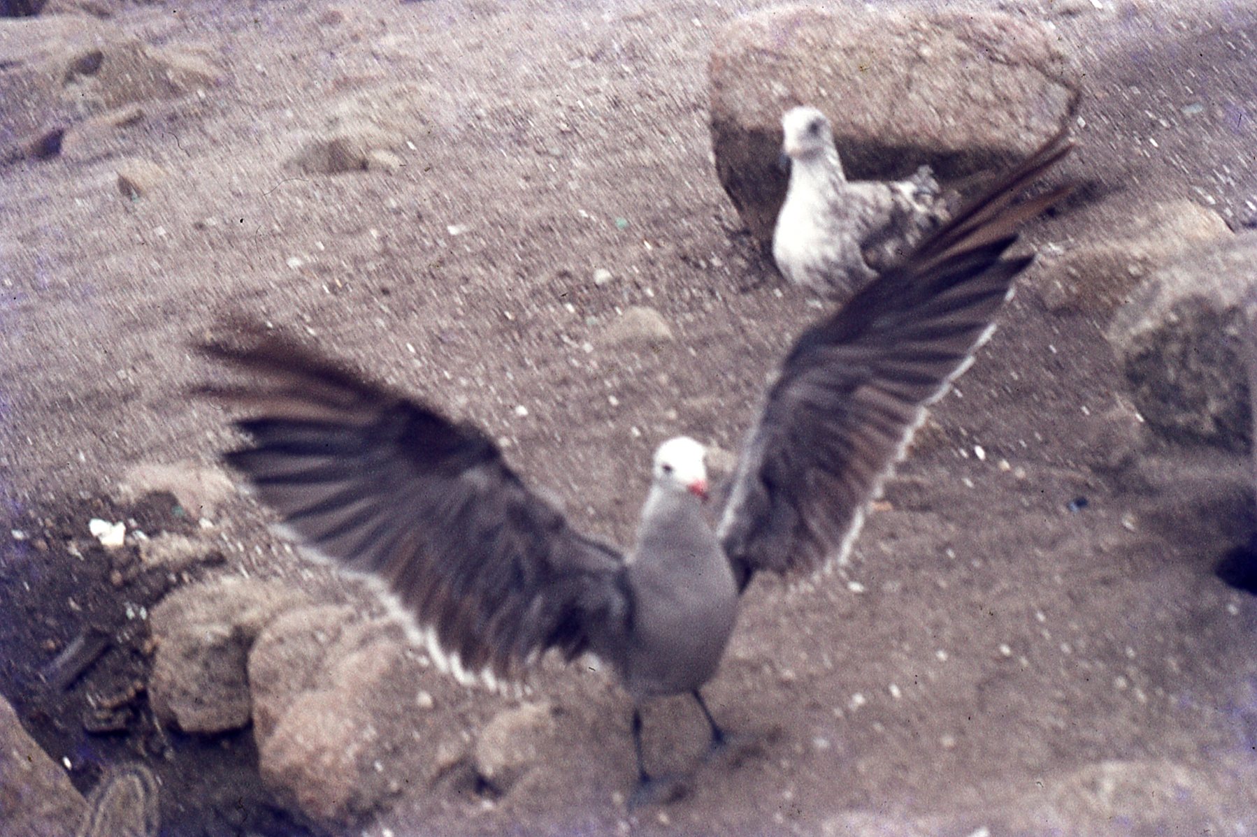 img255.jpg