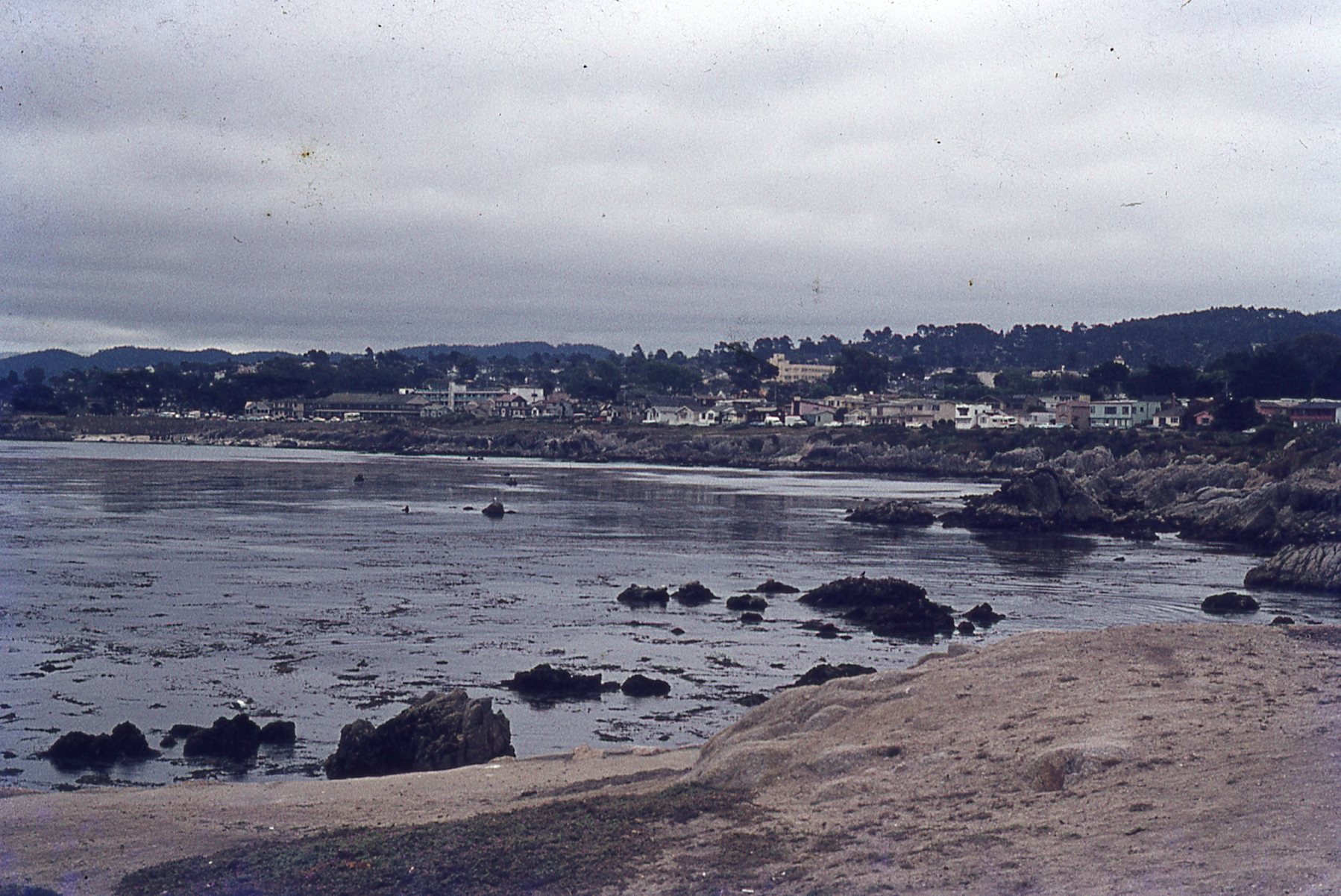 img257.jpg