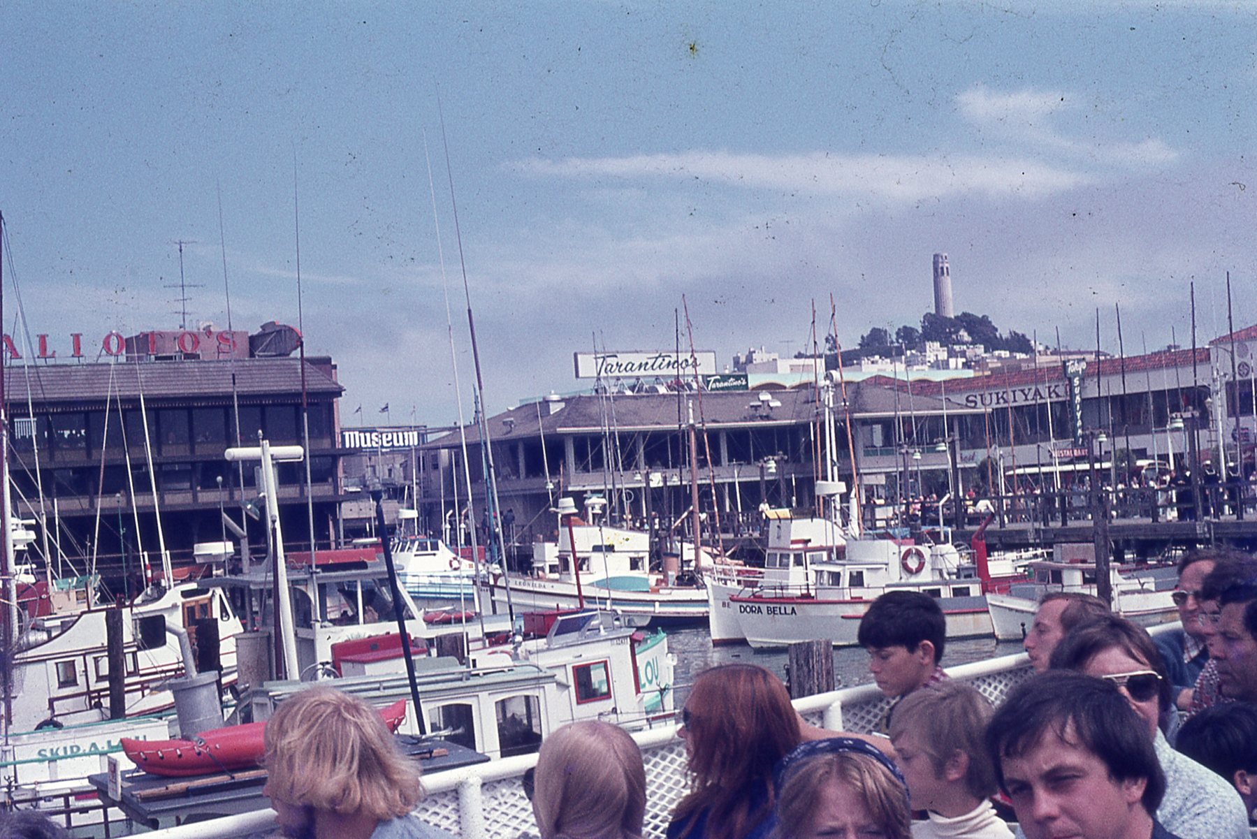img295.jpg