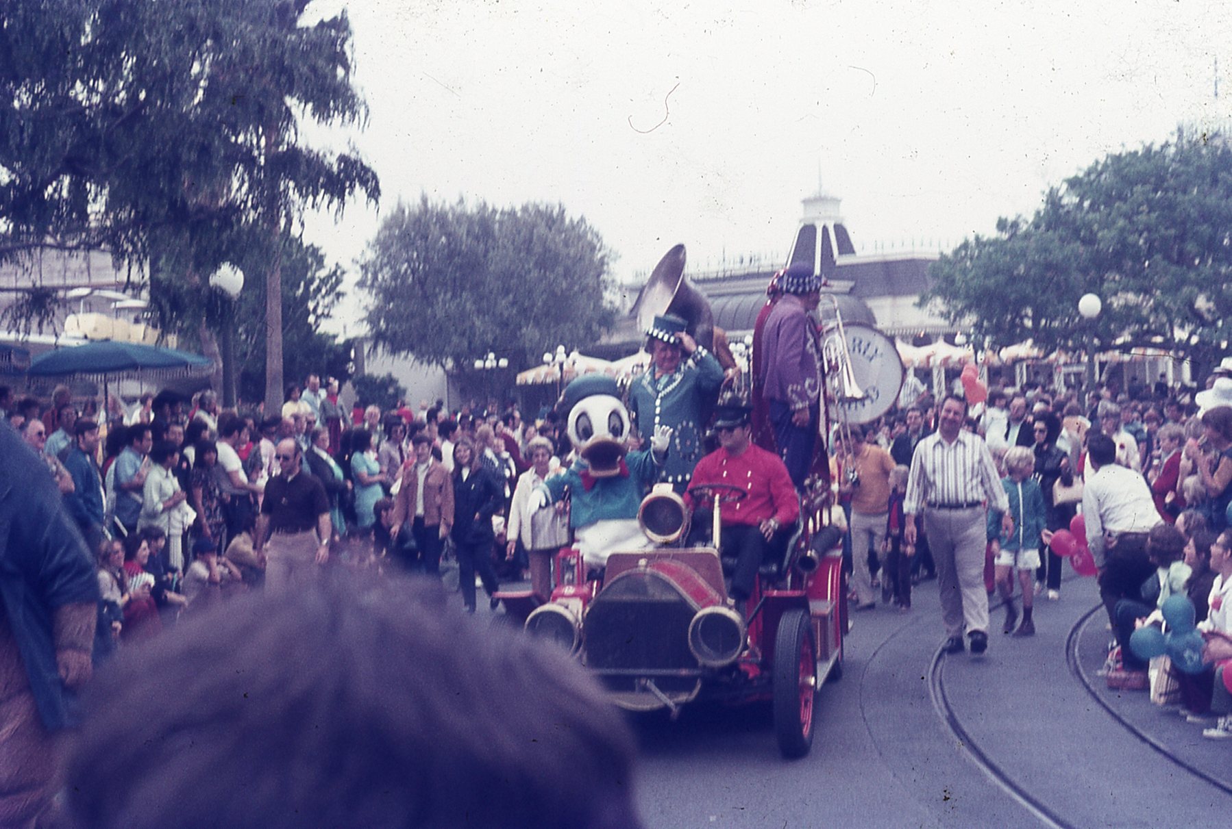 img344.jpg