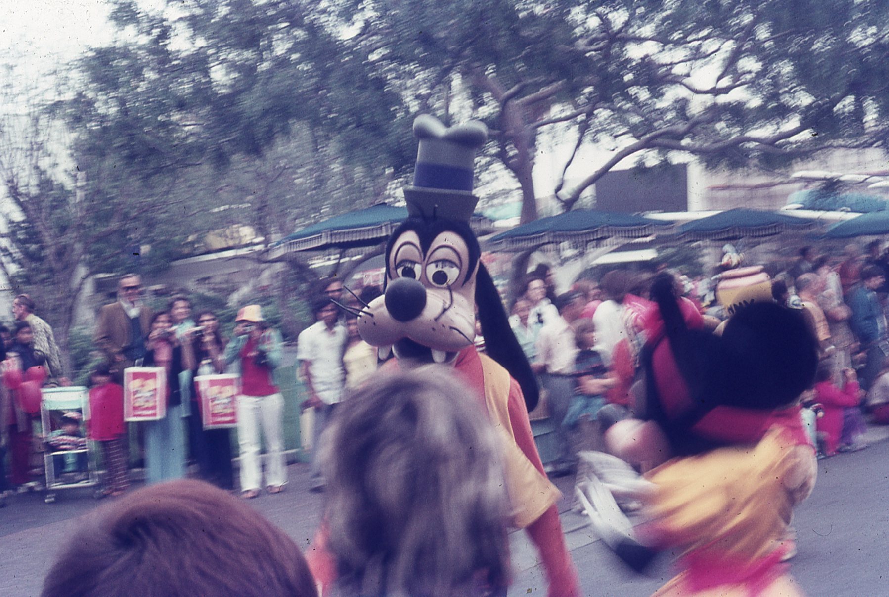 img348.jpg