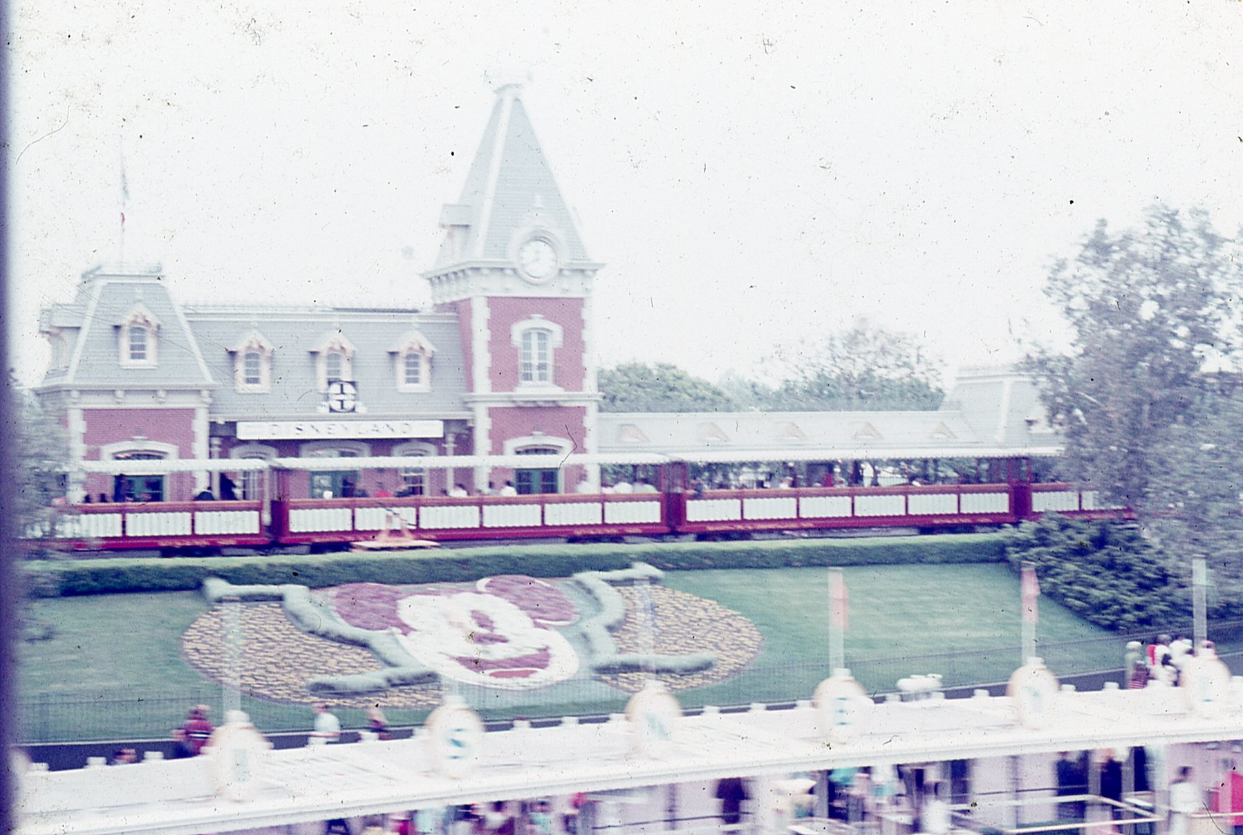 img354.jpg
