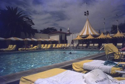 img233.jpg