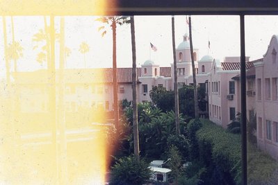 img234.jpg