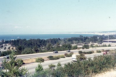img242.jpg