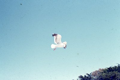 img243.jpg