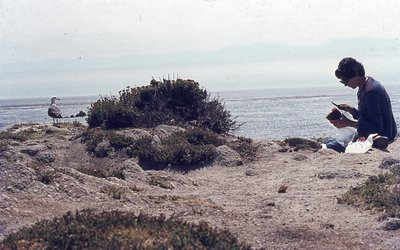 img245.jpg