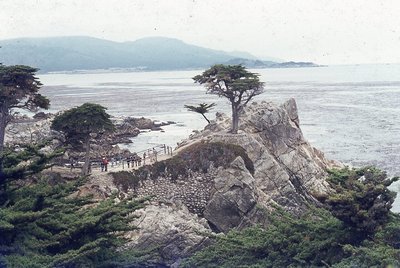 img249.jpg