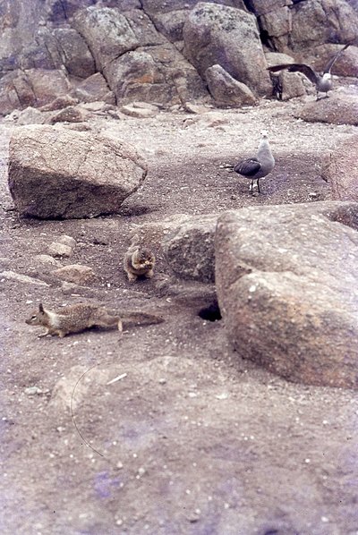 img254.jpg