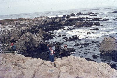 img256.jpg