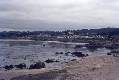 img257.jpg