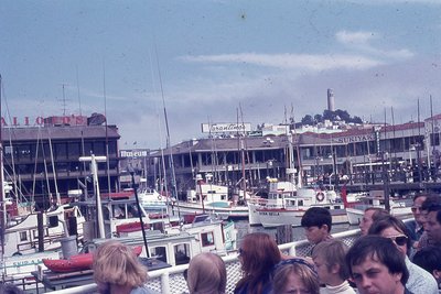 img295.jpg