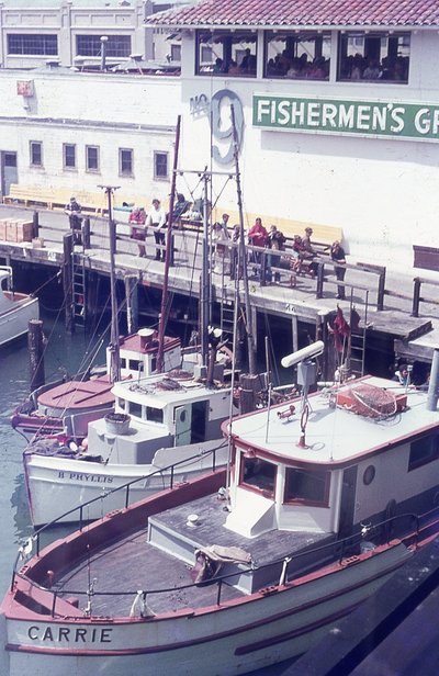 img296.jpg