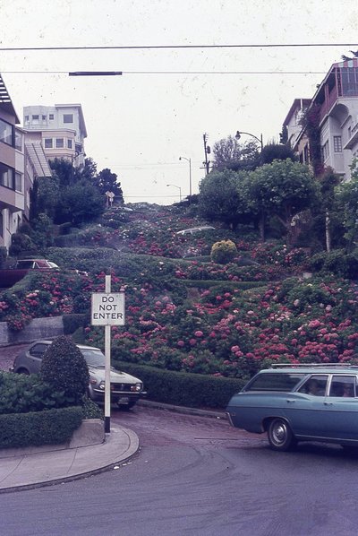 img302.jpg