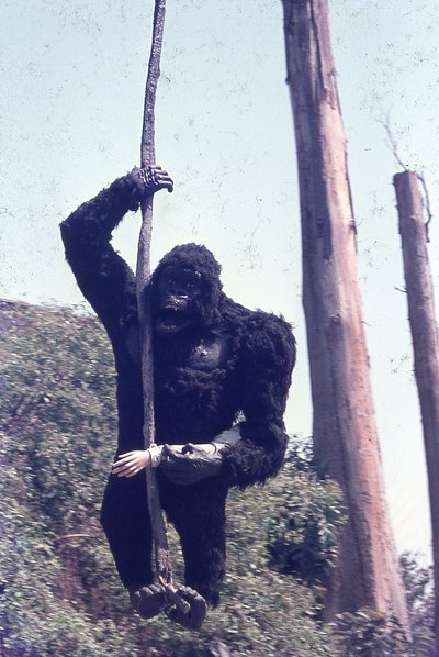 img313.jpg