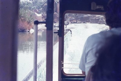 img315.jpg