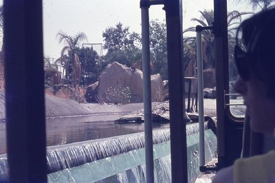 img319.jpg