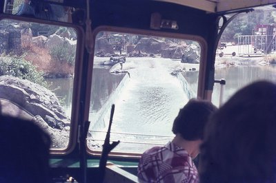 img320.jpg