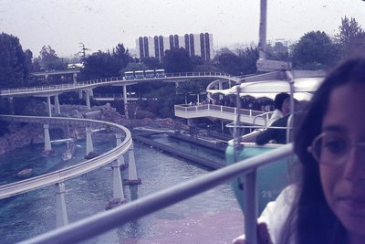 img342.jpg