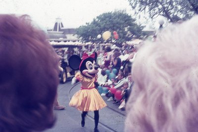 img347.jpg