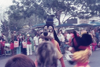 img348.jpg