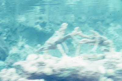 img349.jpg