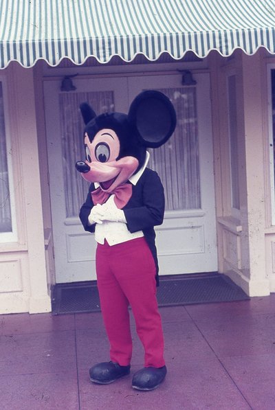 img355.jpg