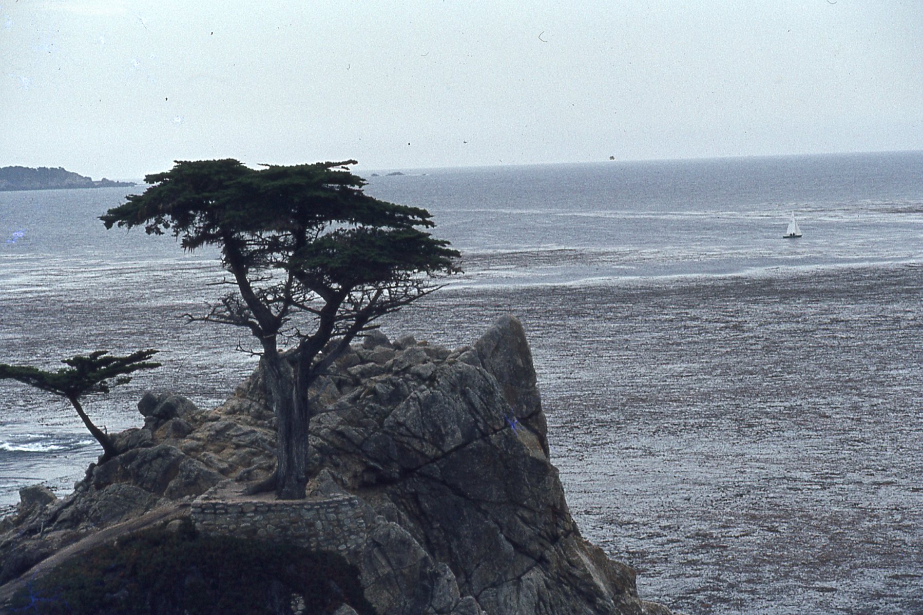img537.jpg