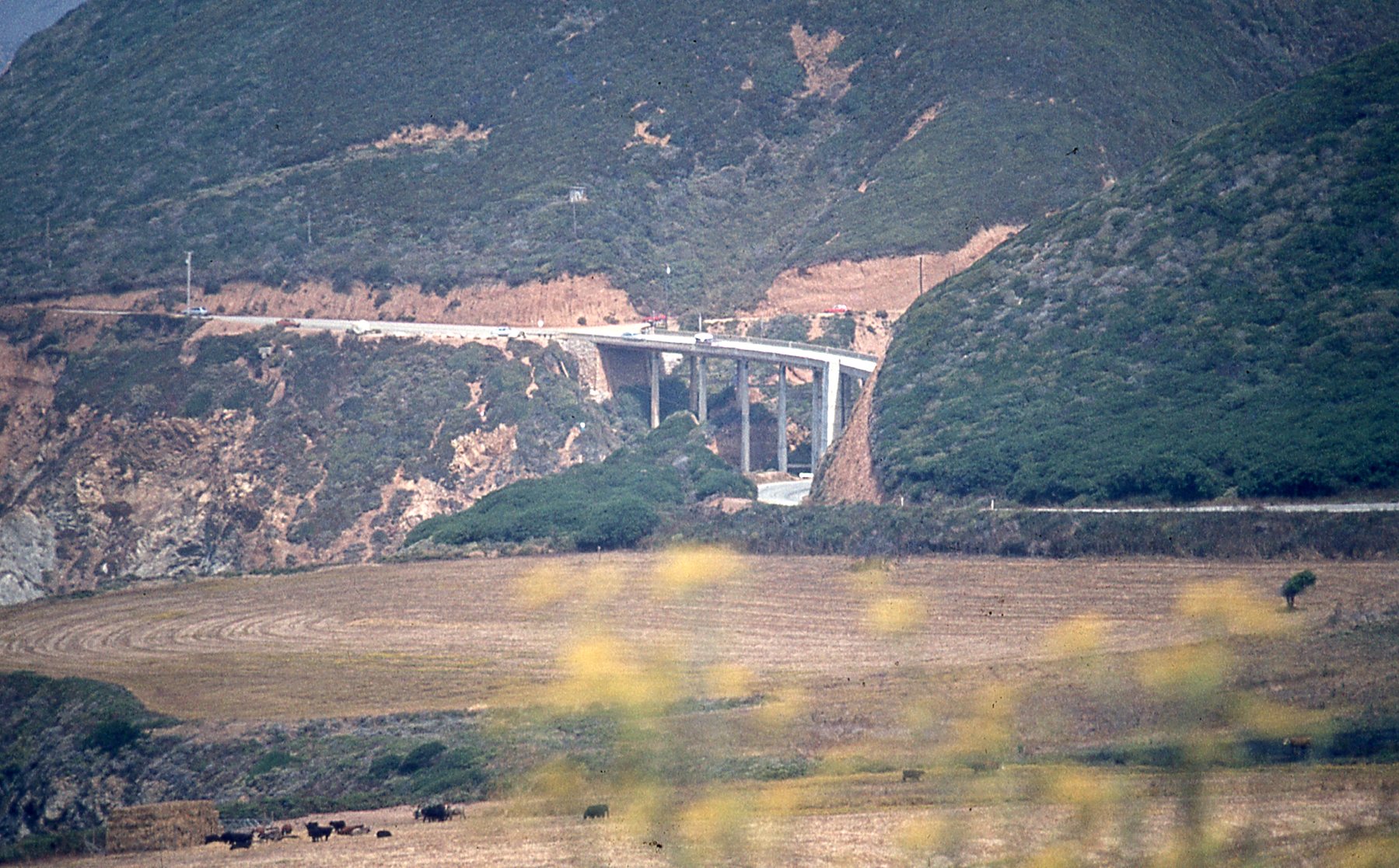 img539.jpg