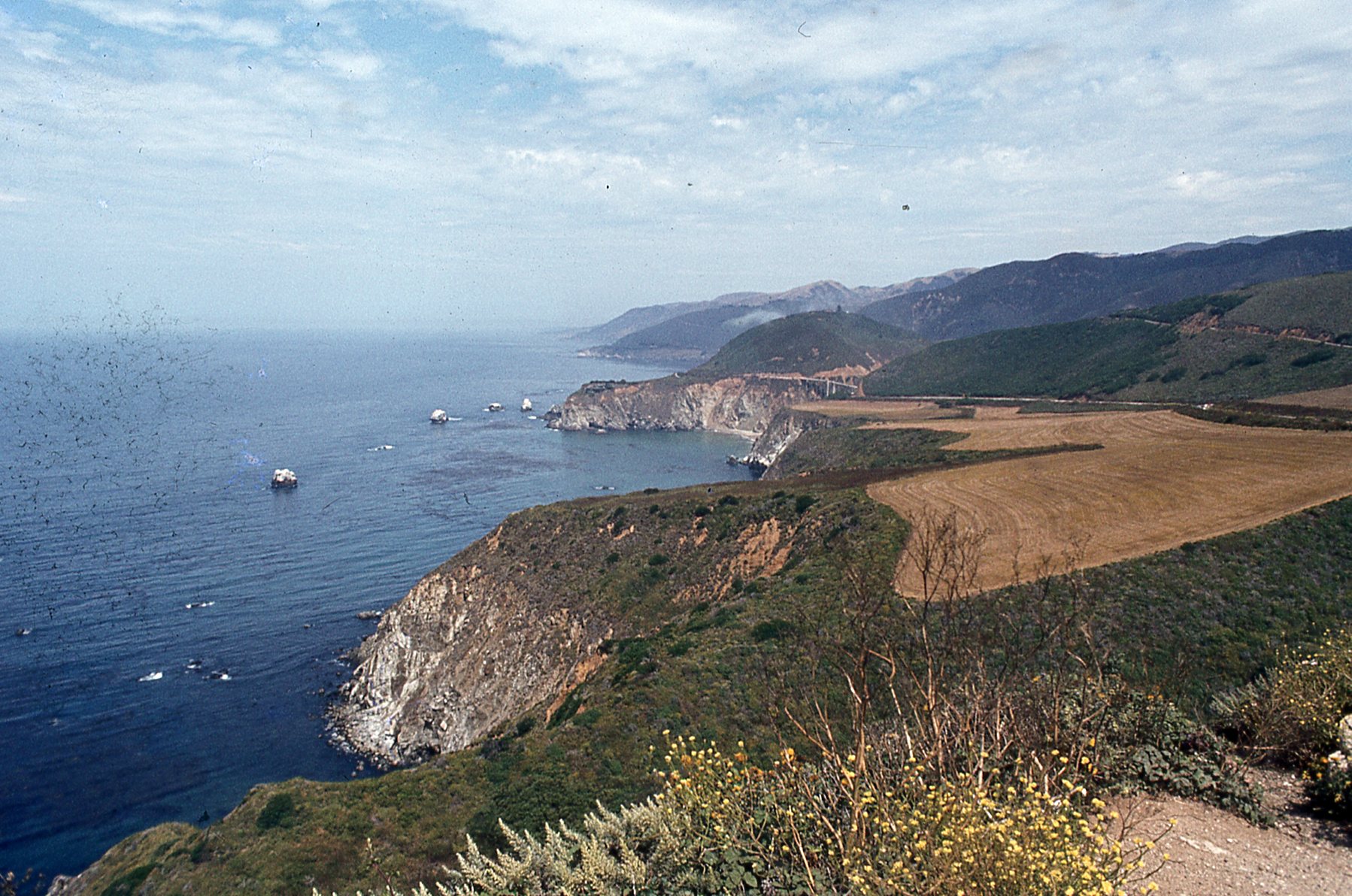 img541.jpg
