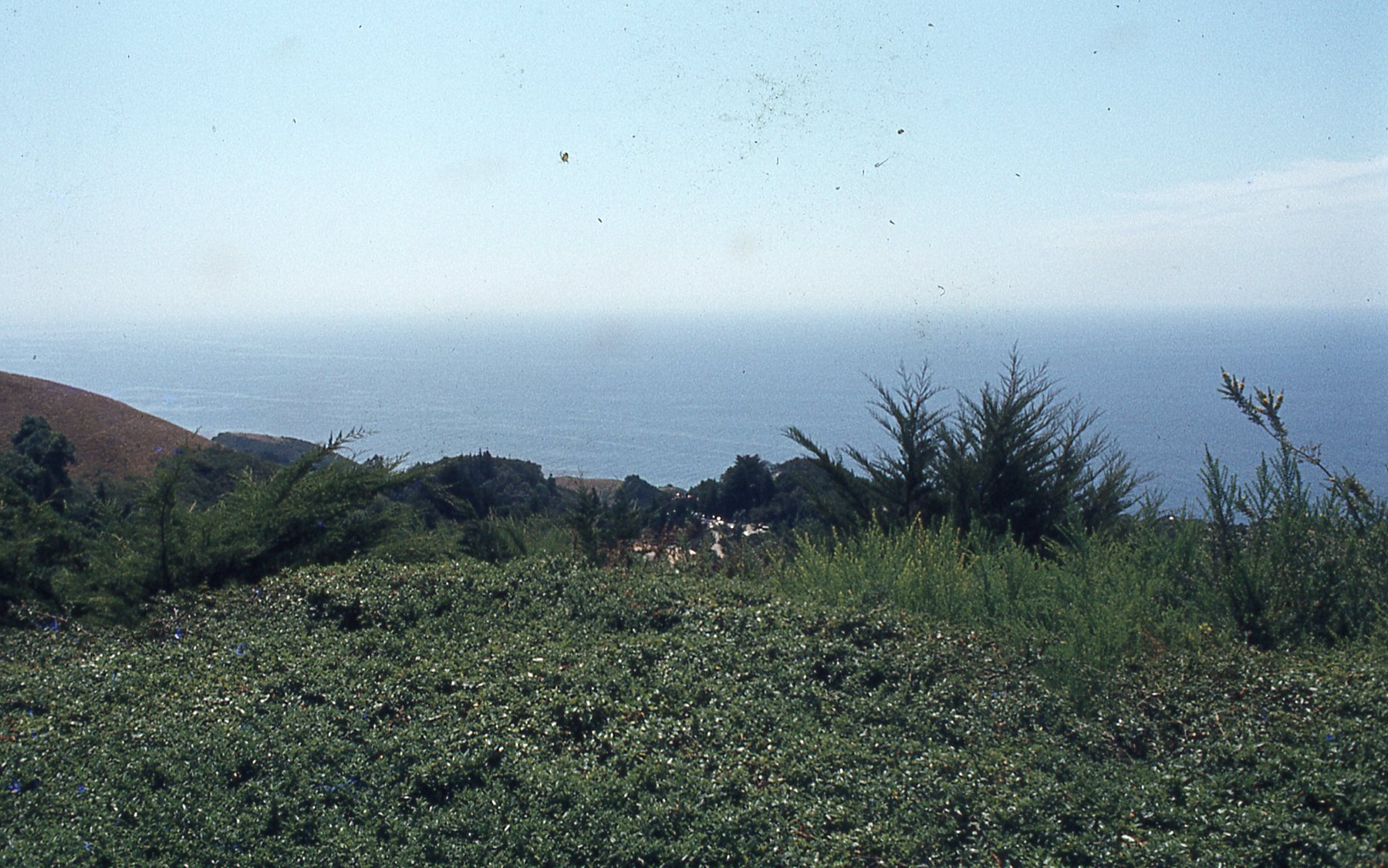 img542.jpg