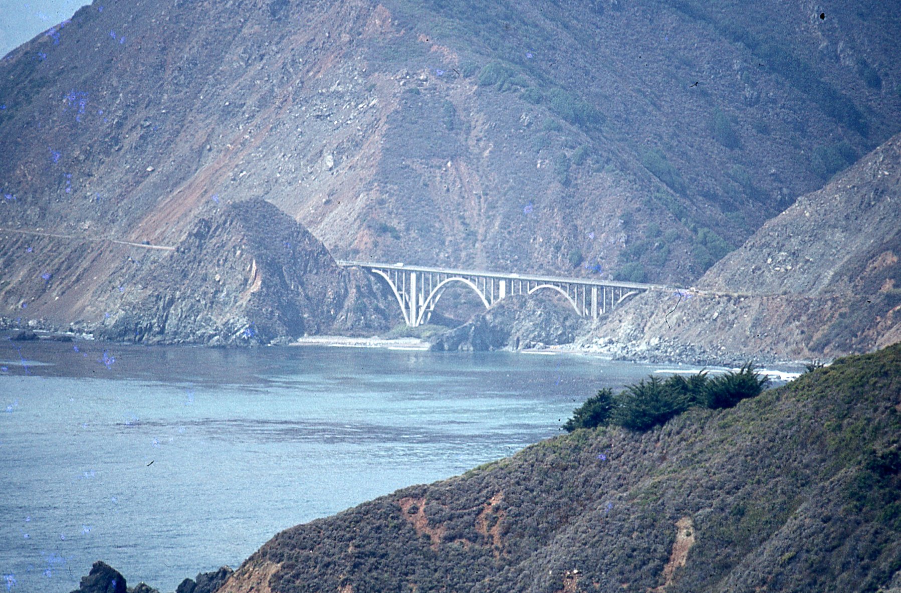 img547.jpg