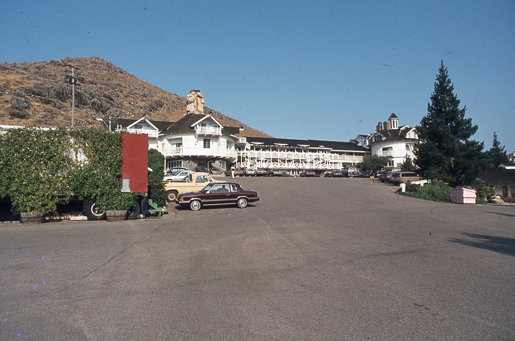 img560.jpg