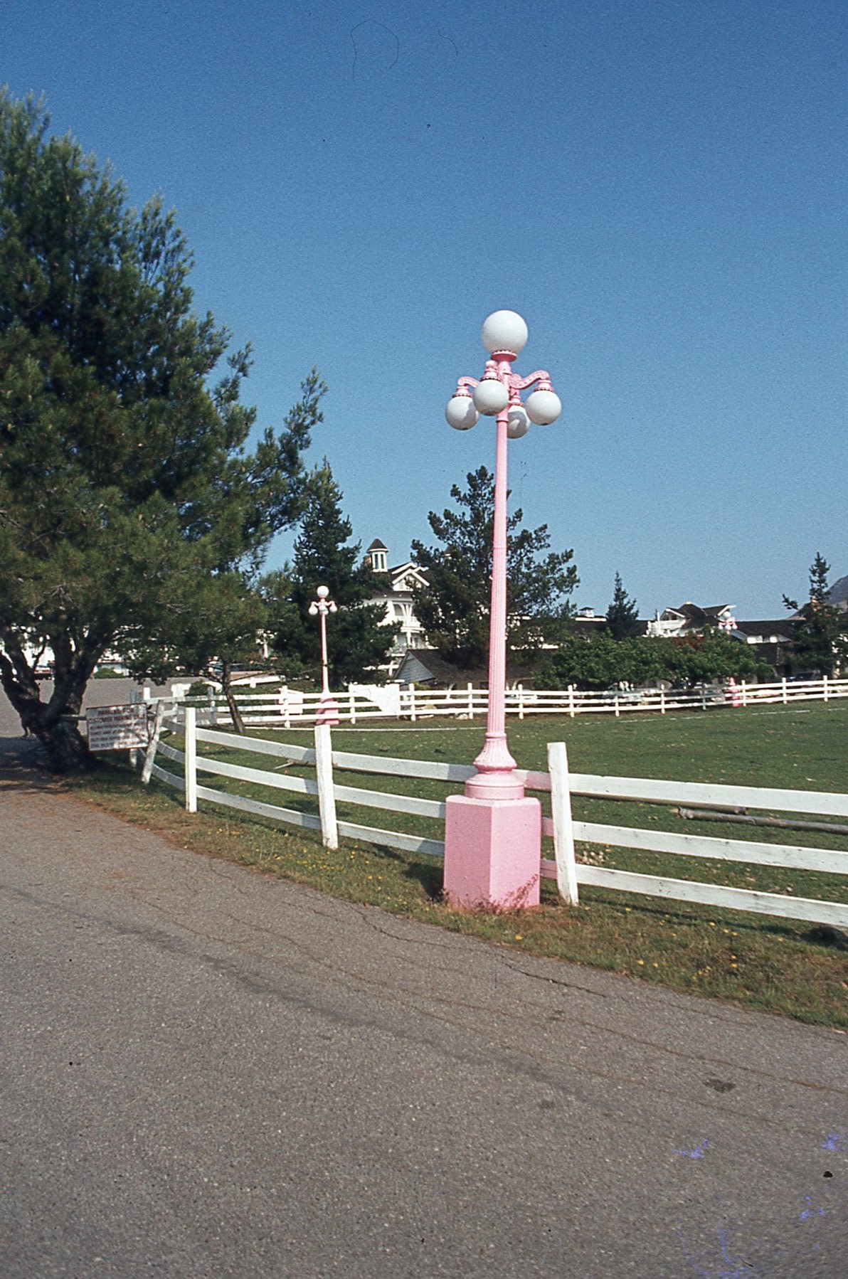 img563.jpg