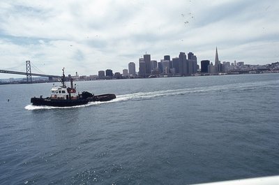 img521.jpg