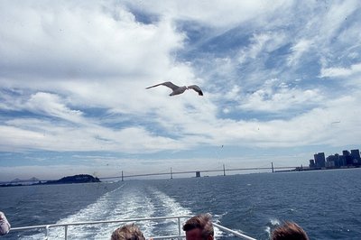 img528.jpg