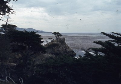 img529.jpg