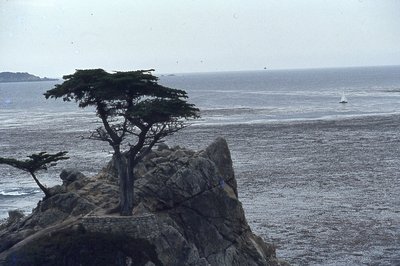 img537.jpg