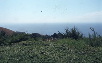 img542.jpg