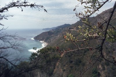 img551.jpg