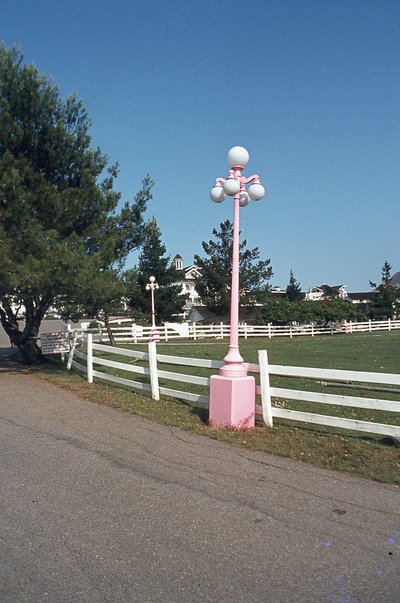 img563.jpg
