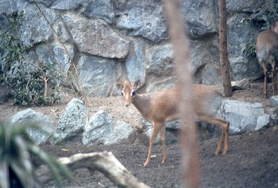 img603.jpg